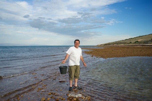 Chasing crabs at Fitzgerald Bay