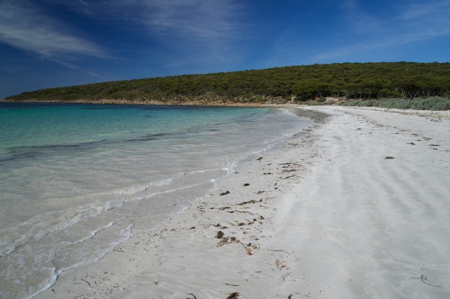 The Beach at Memory Cove, Lincoln NP