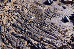 Old mine at Ravensworth