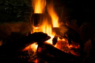 Campfire Tuart's Reserve