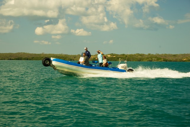 Sealegs in action. Seen these on the Pittwater in Sydney too.