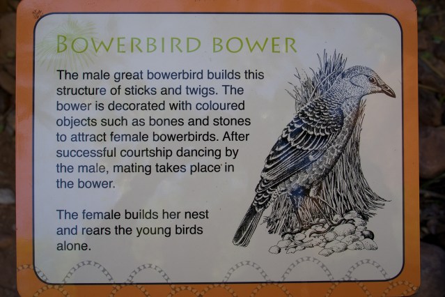 Echidna Gorge, Bungle Bungles